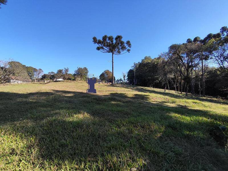 Sítio, 2 quartos, 14 hectares - Foto 23