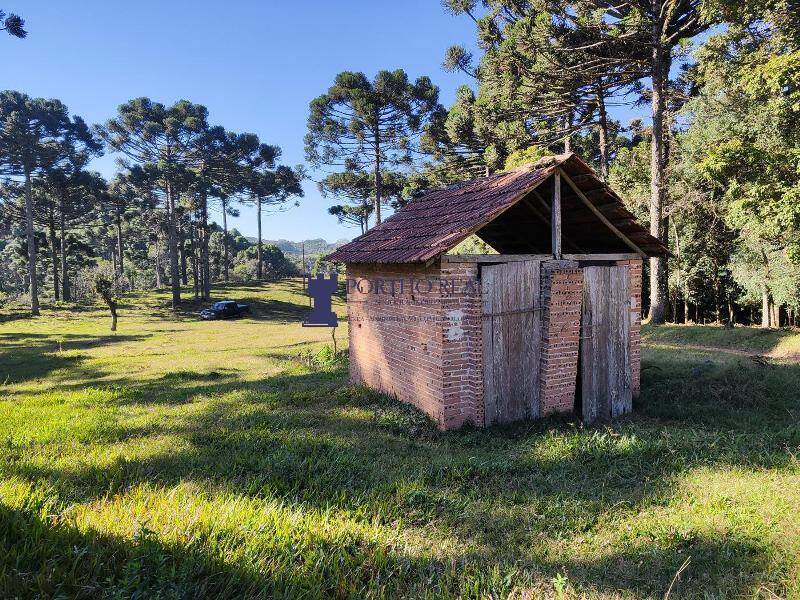 Sítio, 2 quartos, 14 hectares - Foto 20