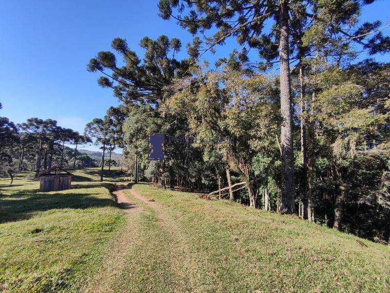 Sítio, 2 quartos, 14 hectares - Foto 24