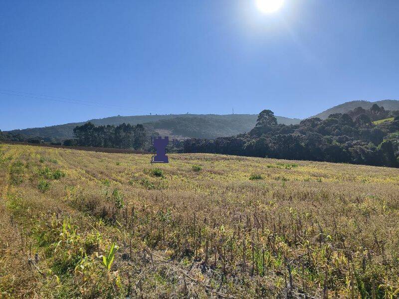 Sítio, 2 quartos, 14 hectares - Foto 7