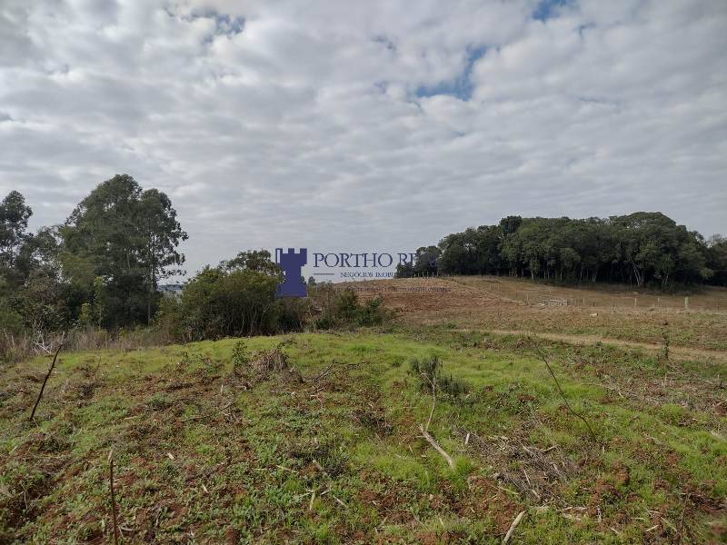 Terreno, 5 hectares - Foto 2