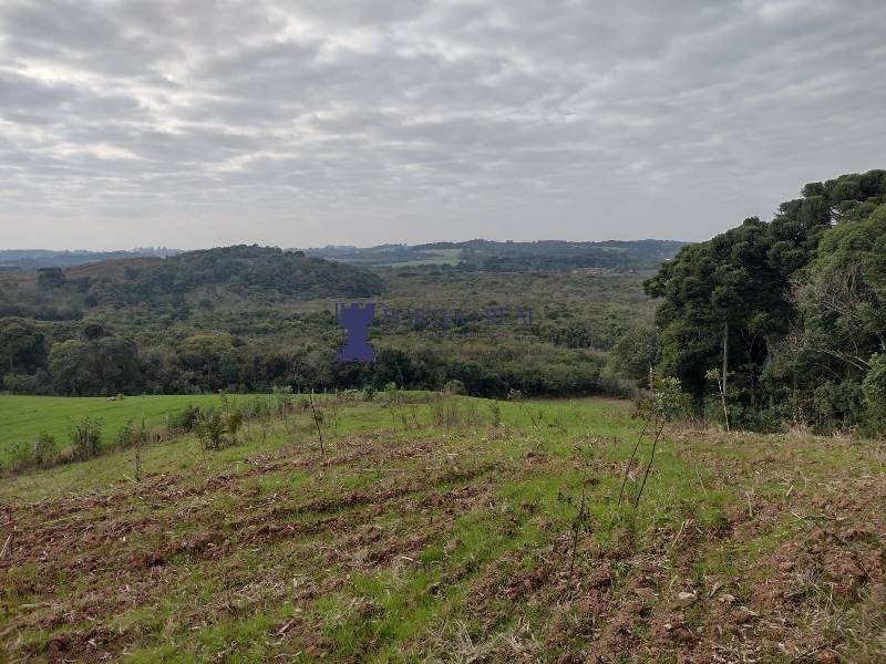 Terreno, 5 hectares - Foto 4