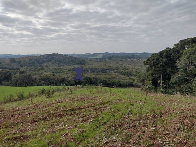 Terreno, 5 hectares - Foto 1