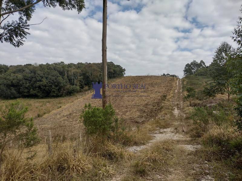 Terreno, 5 hectares - Foto 3