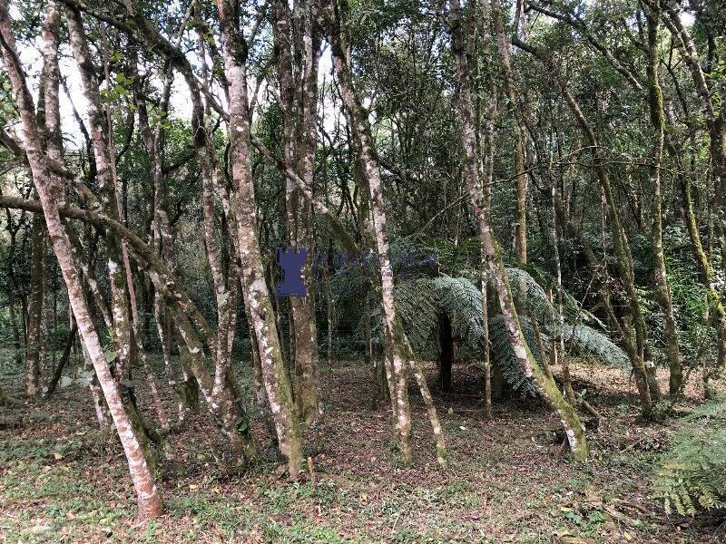 Chácara, 1 quarto, 2400 m² - Foto 22