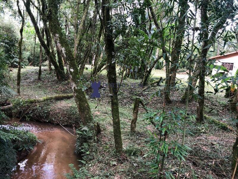 Chácara, 1 quarto, 2400 m² - Foto 27