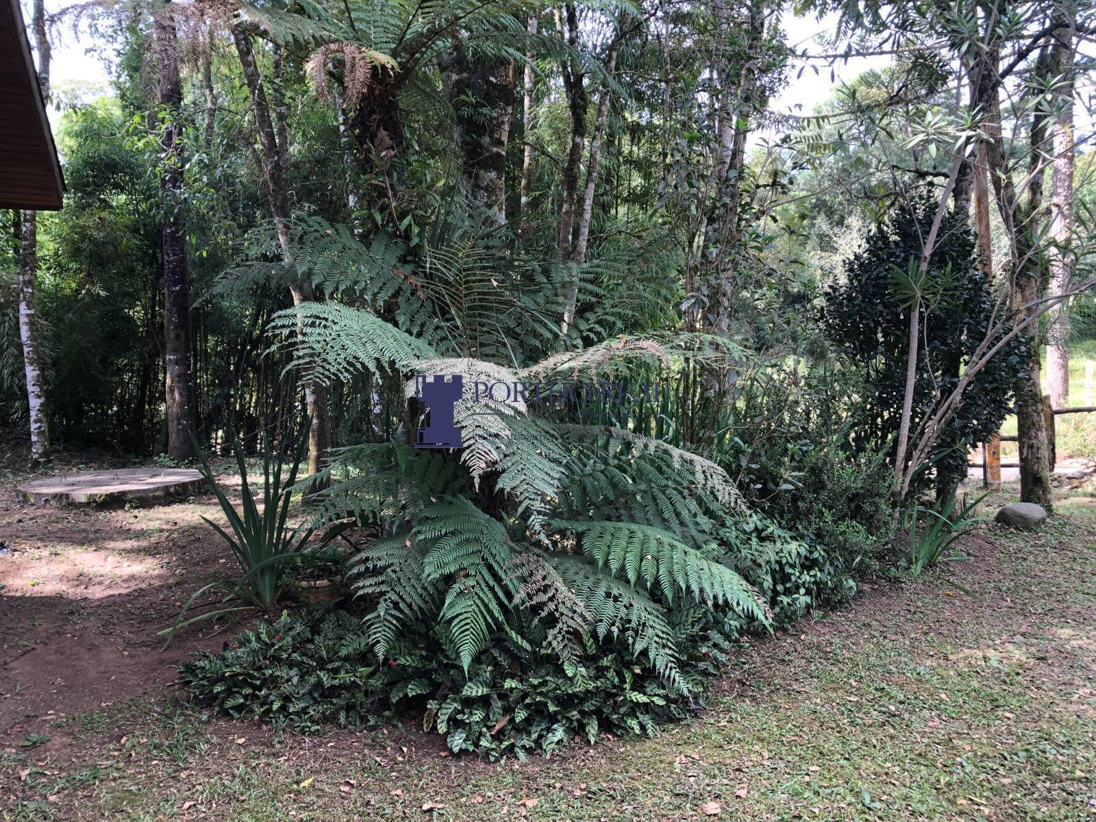 Chácara, 1 quarto, 2400 m² - Foto 19