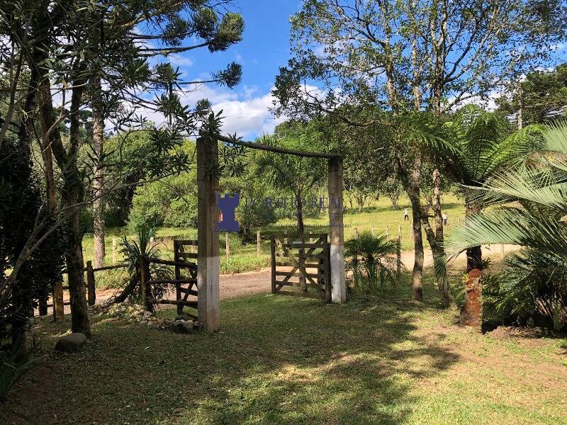 Chácara, 2 quartos, 2400 m² - Foto 1