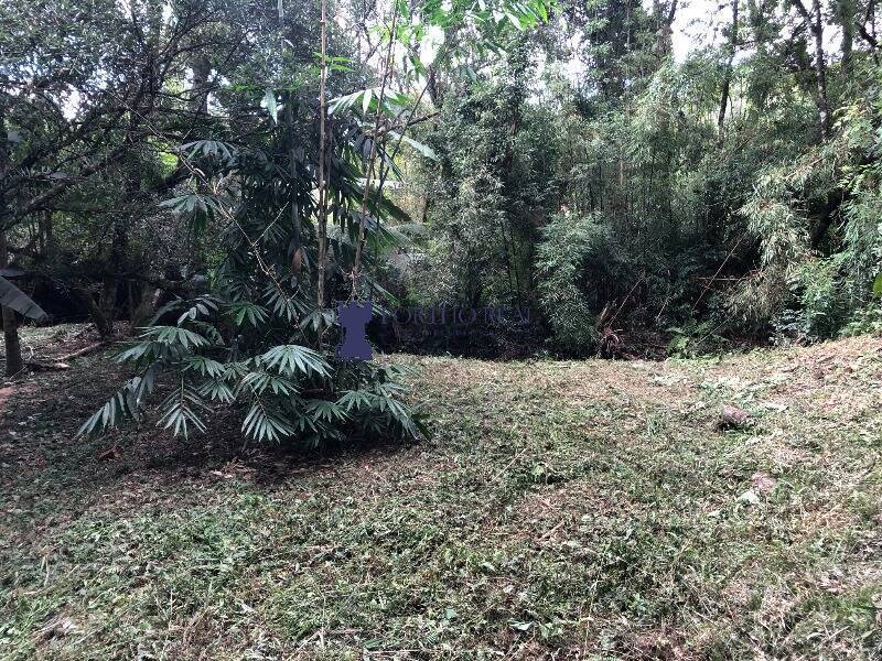 Chácara, 1 quarto, 2400 m² - Foto 24