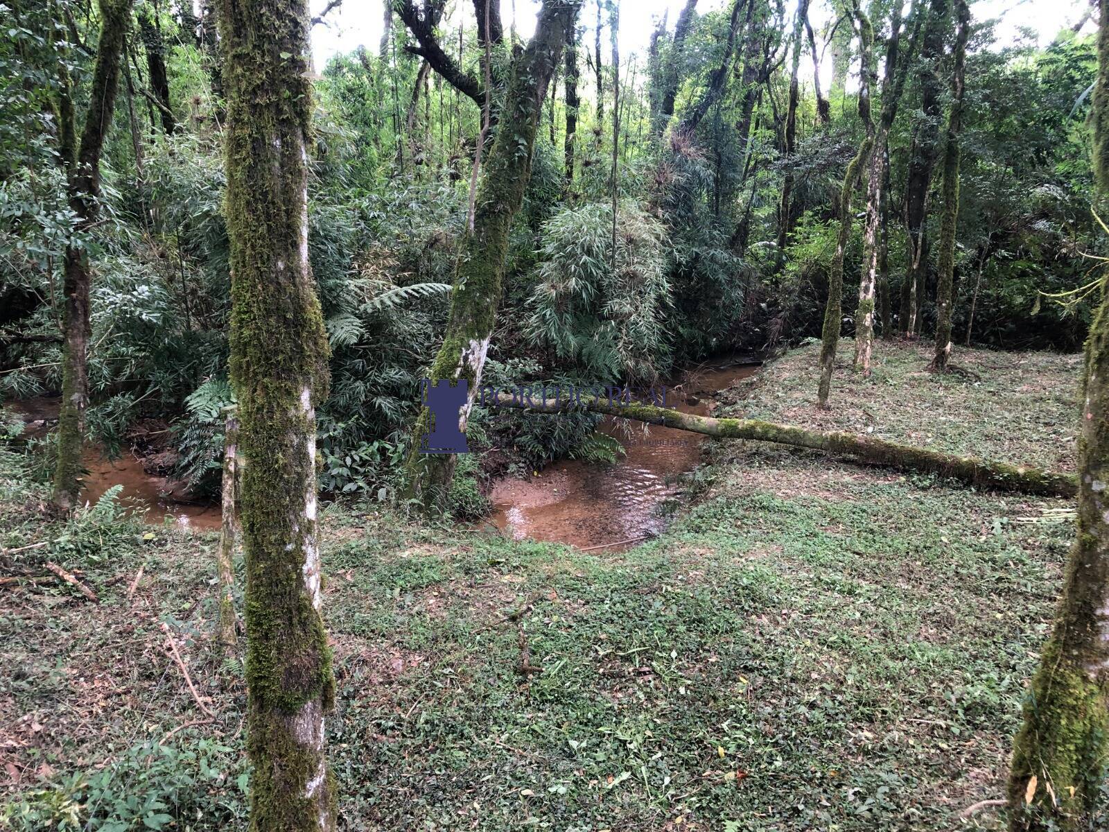 Chácara, 1 quarto, 2400 m² - Foto 25