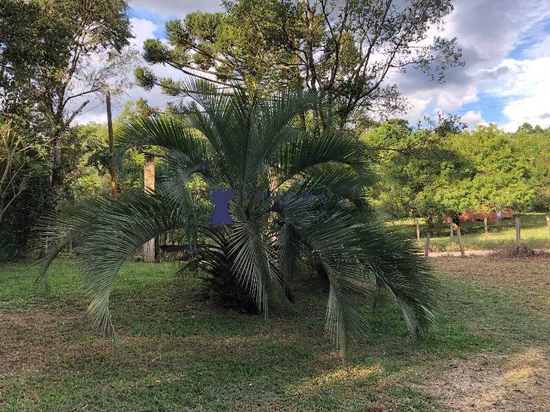 Chácara, 1 quarto, 2400 m² - Foto 23