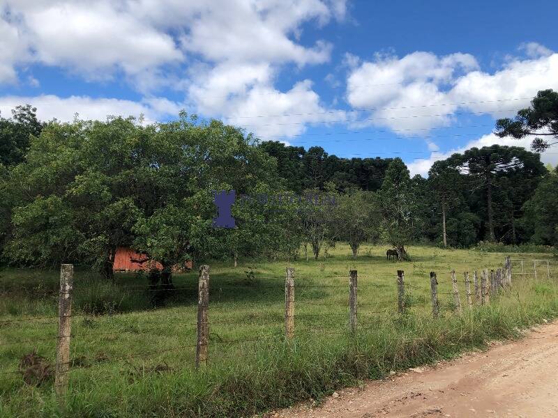 Chácara, 1 quarto, 2400 m² - Foto 18