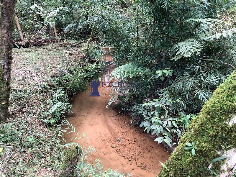 Chácara, 1 quarto, 2400 m² - Foto 28