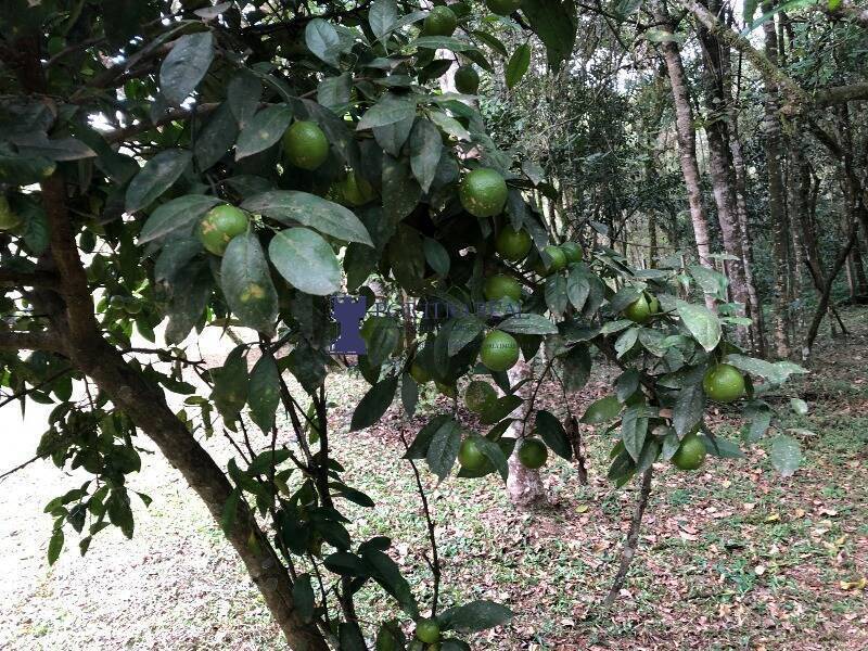 Chácara, 1 quarto, 2400 m² - Foto 20