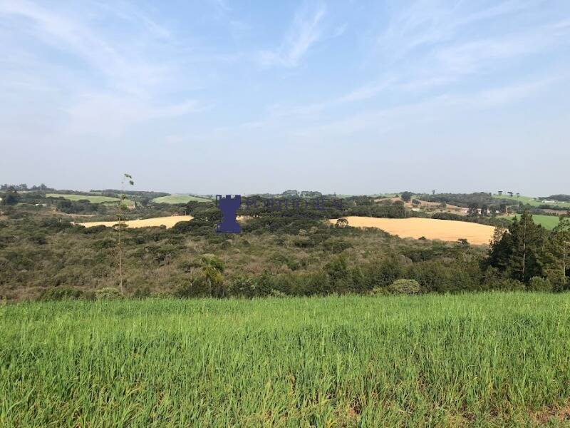 Terreno, 3 hectares - Foto 1