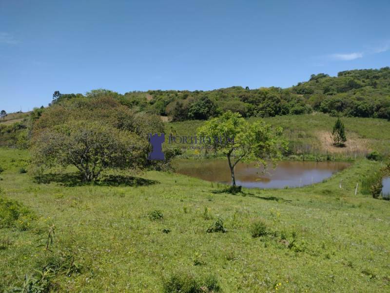 Sítio, 2 quartos, 14 hectares - Foto 2