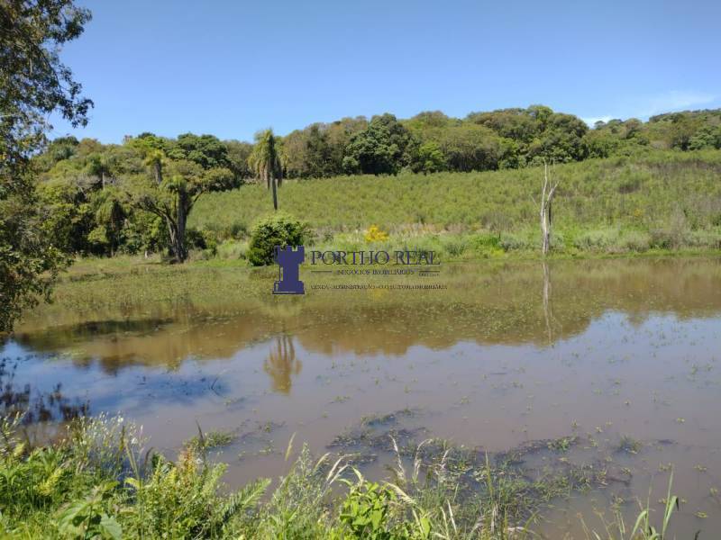 Sítio, 2 quartos, 14 hectares - Foto 3