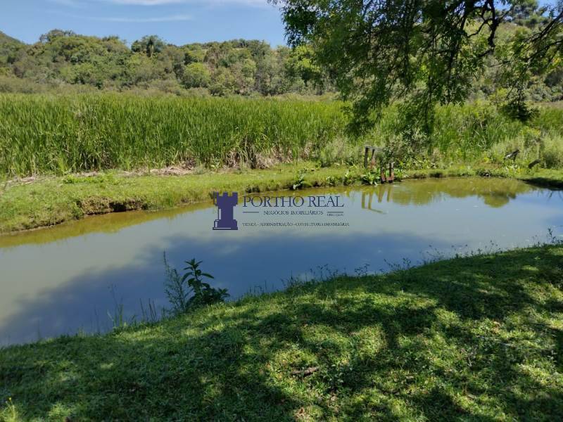 Sítio, 2 quartos, 14 hectares - Foto 5