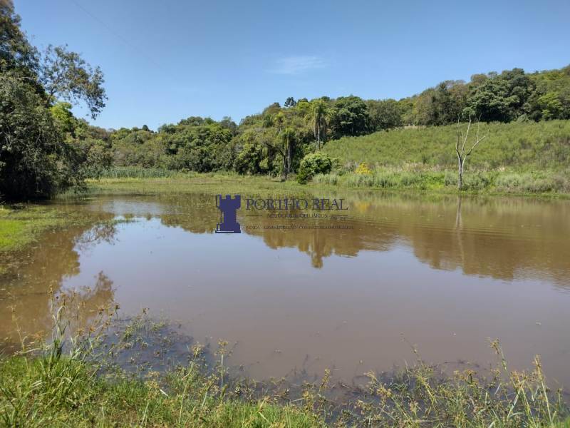Chácara, 2 quartos, 14 hectares - Foto 1