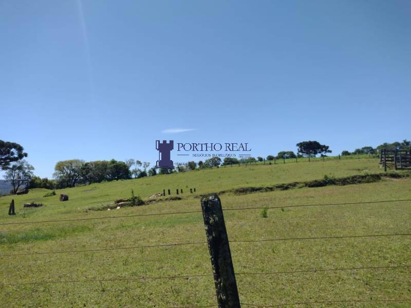 Chácara, 2 quartos, 14 hectares - Foto 5