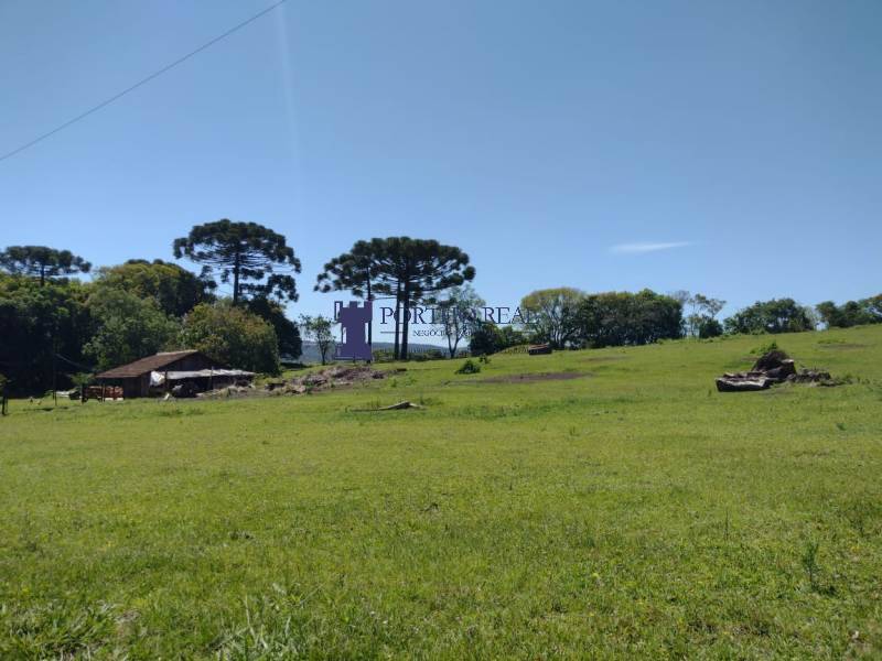 Chácara, 2 quartos, 14 hectares - Foto 4