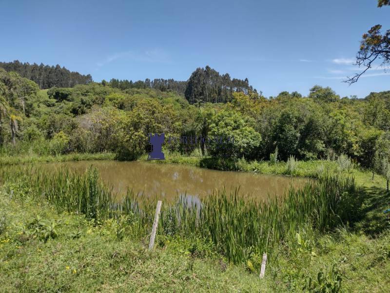 Chácara, 2 quartos, 14 hectares - Foto 2