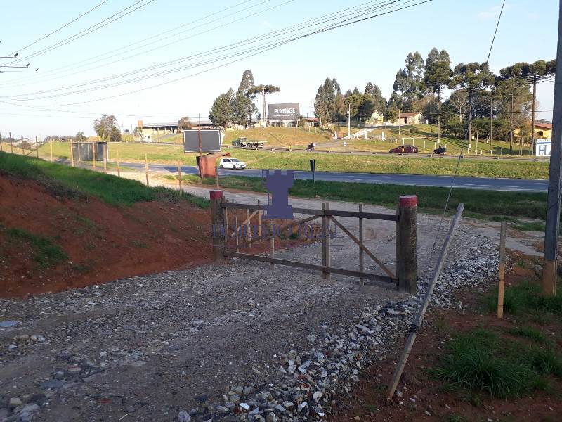 Terreno, 3 hectares - Foto 8