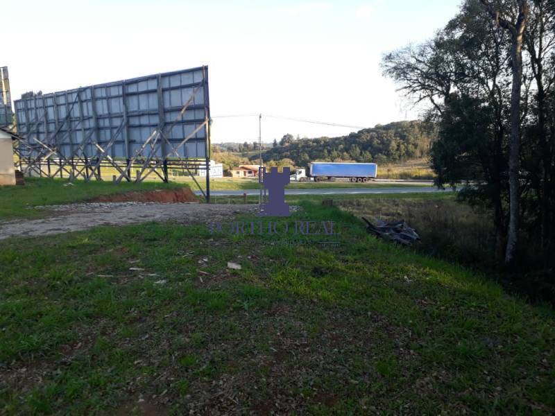 Terreno, 3 hectares - Foto 6