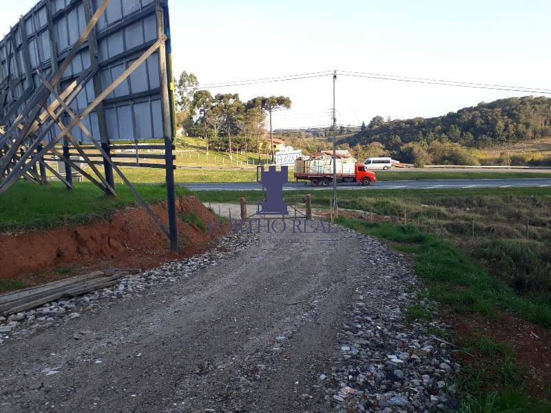 Terreno, 3 hectares - Foto 7