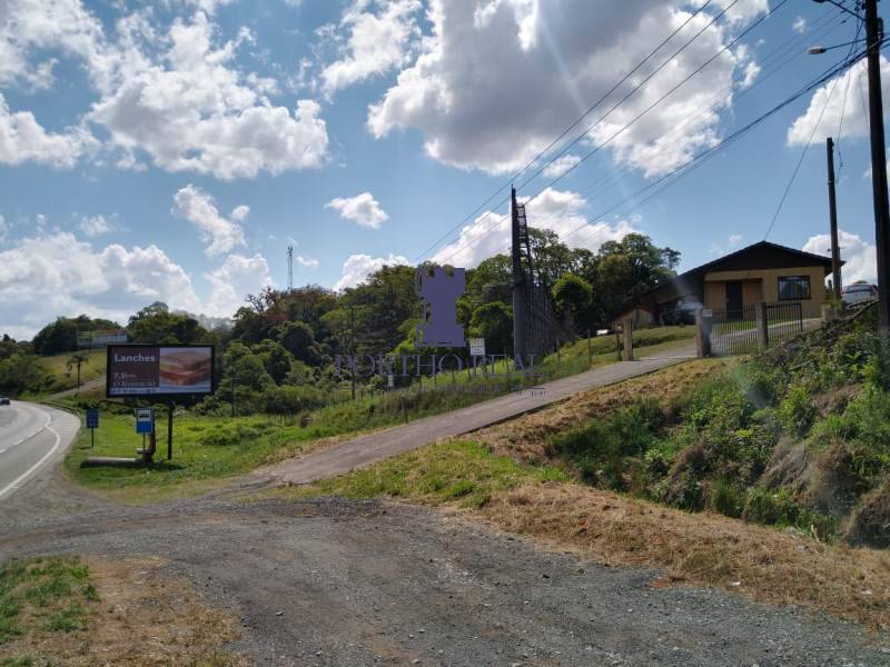 Terreno, 3 hectares - Foto 5