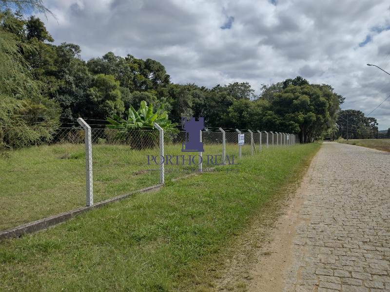 Terreno, 3 hectares - Foto 4