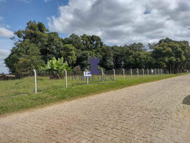 Terreno, 3 hectares - Foto 7