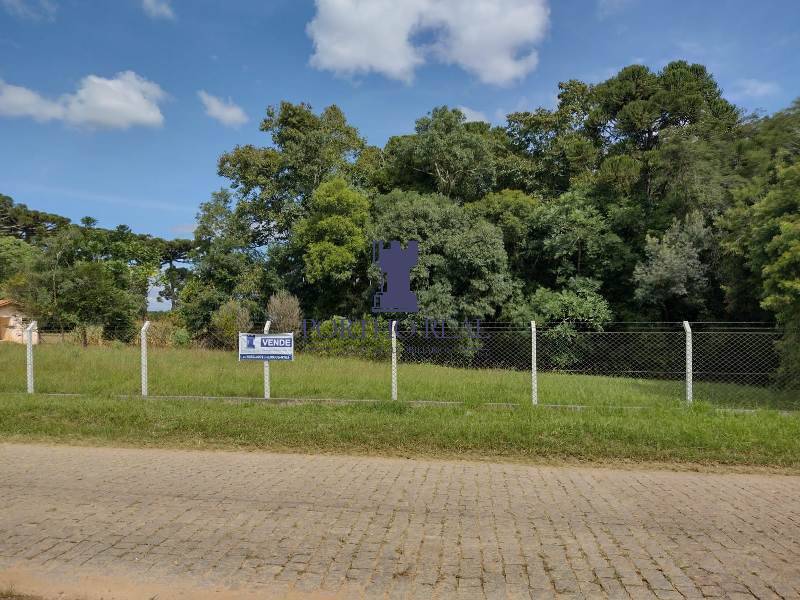 Terreno, 3 hectares - Foto 11
