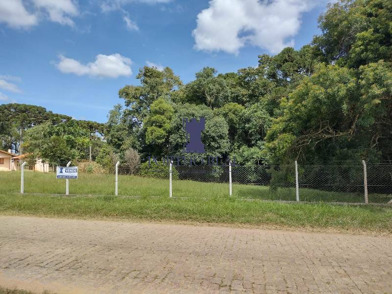 Terreno, 3 hectares - Foto 10