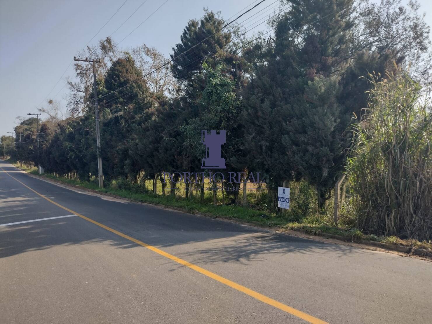 Terreno, 1 hectares - Foto 2