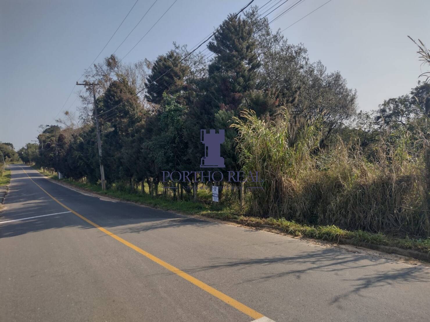 Terreno, 1 hectares - Foto 3