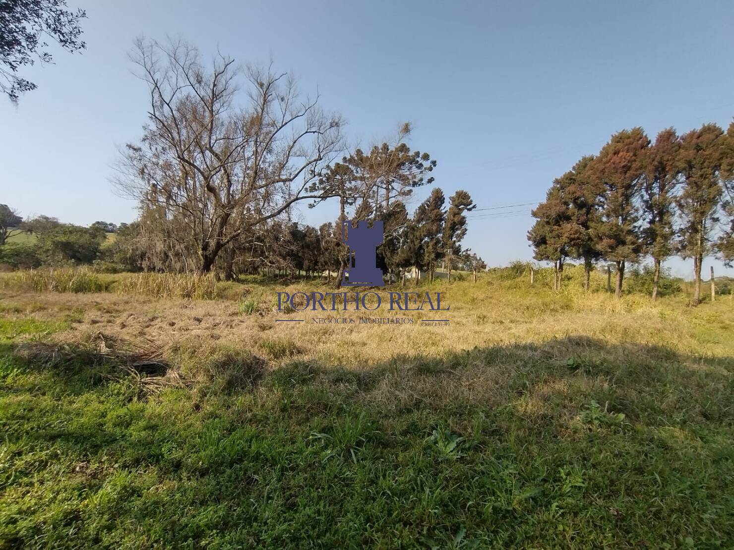 Terreno, 1 hectares - Foto 6