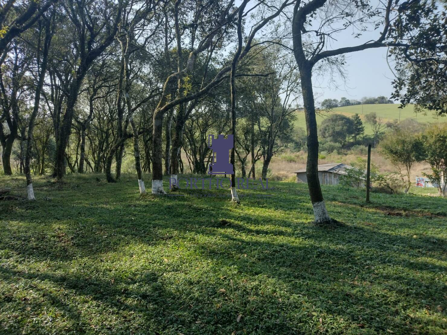 Terreno, 1 hectares - Foto 10