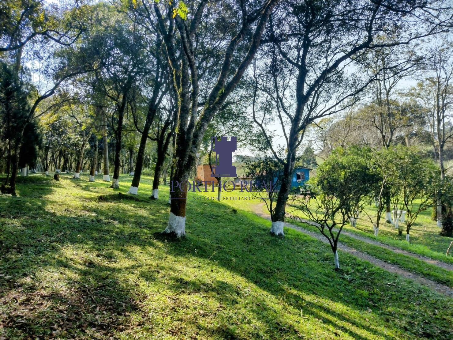 Terreno, 1 hectares - Foto 14