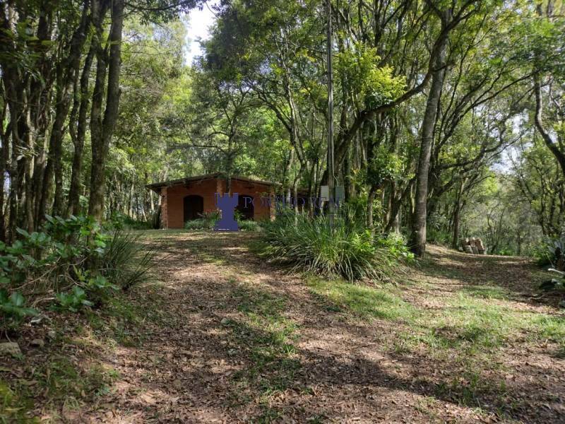 Sítio, 2 quartos - Foto 4