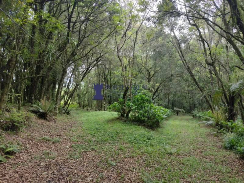 Sítio, 2 quartos - Foto 11