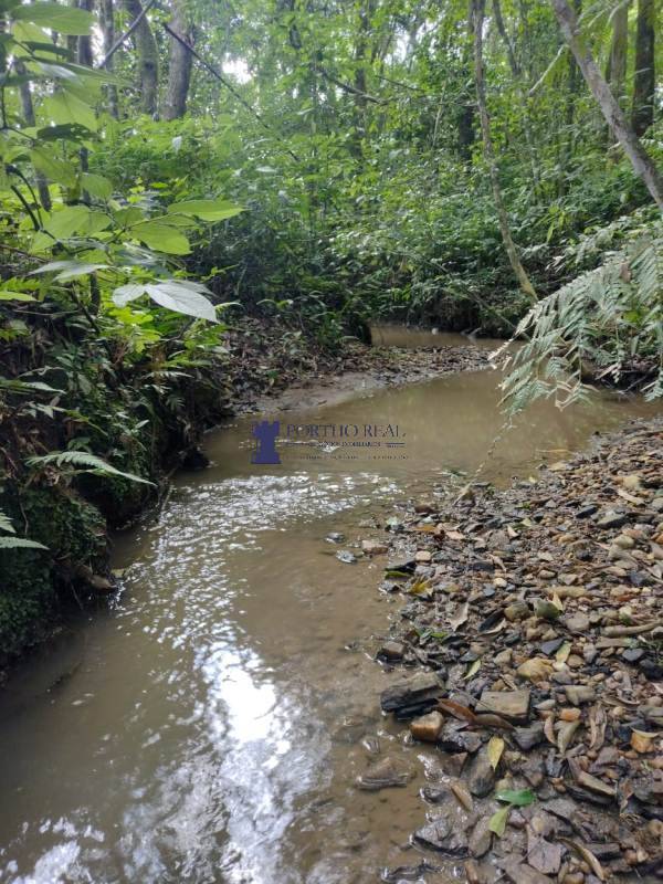 Sítio, 2 quartos - Foto 14