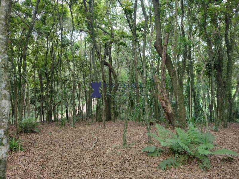 Sítio, 2 quartos - Foto 15