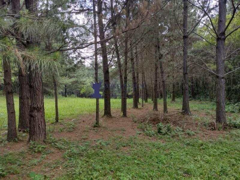 Sítio, 2 quartos - Foto 16