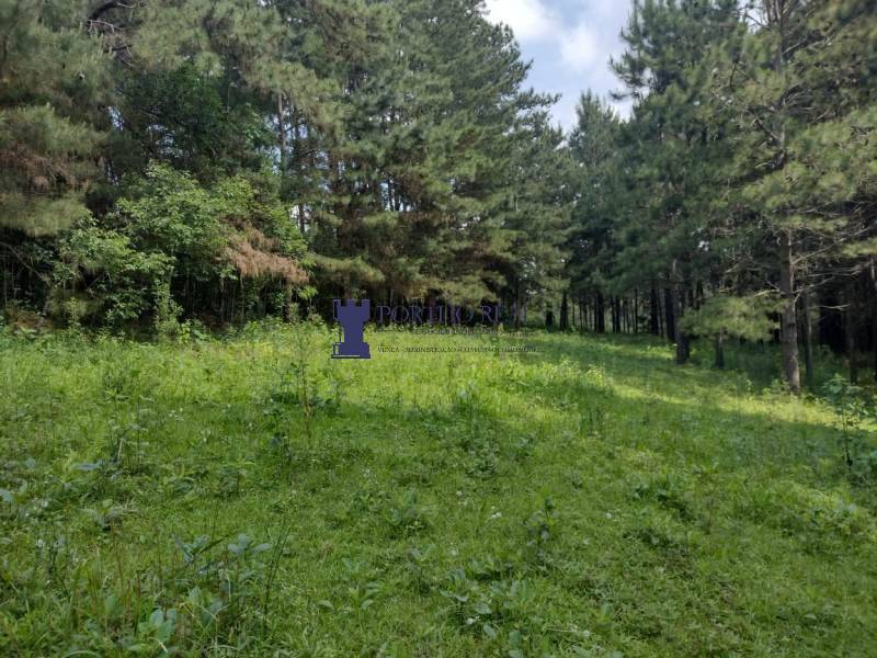 Sítio, 2 quartos - Foto 17