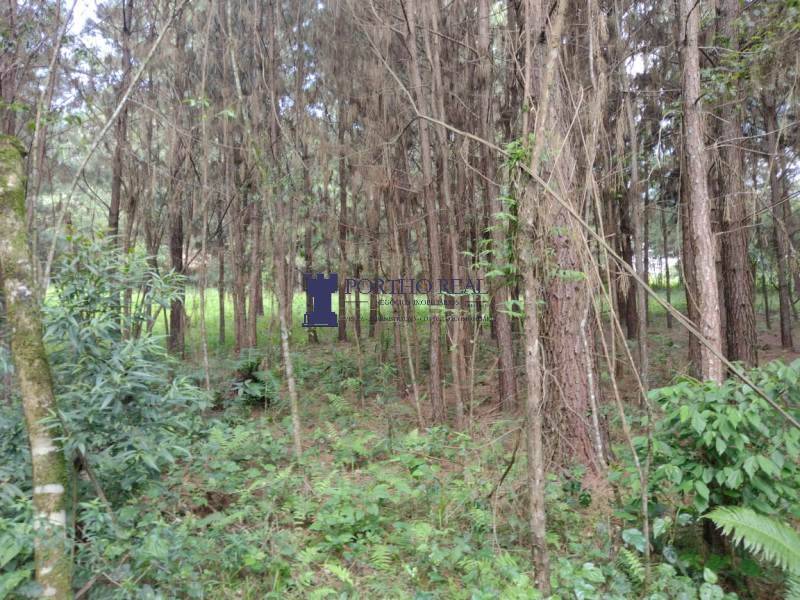 Sítio, 2 quartos - Foto 18