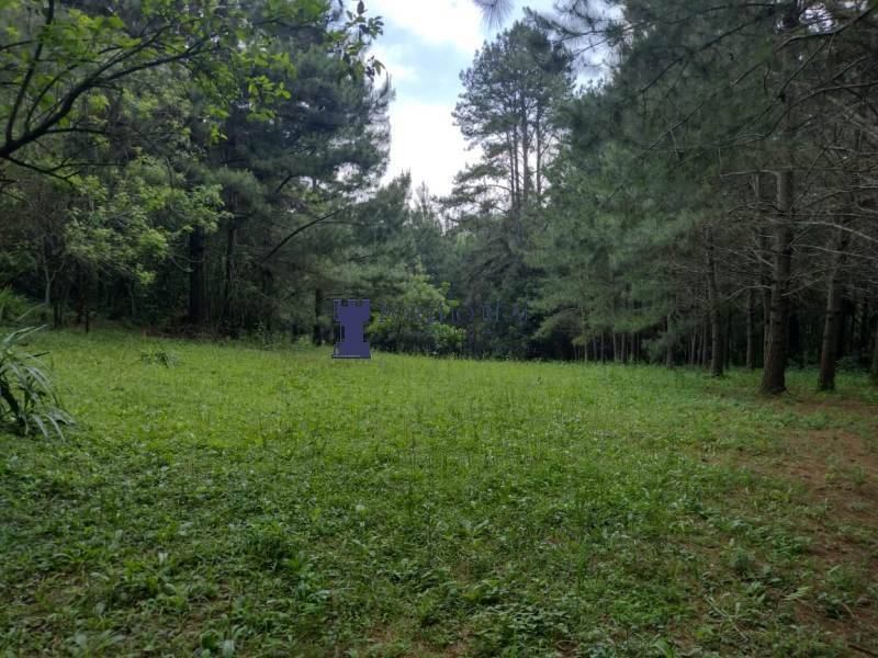 Sítio, 2 quartos - Foto 19