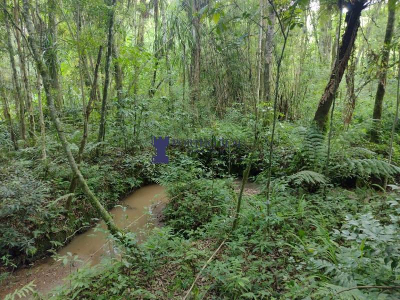 Sítio, 2 quartos - Foto 20