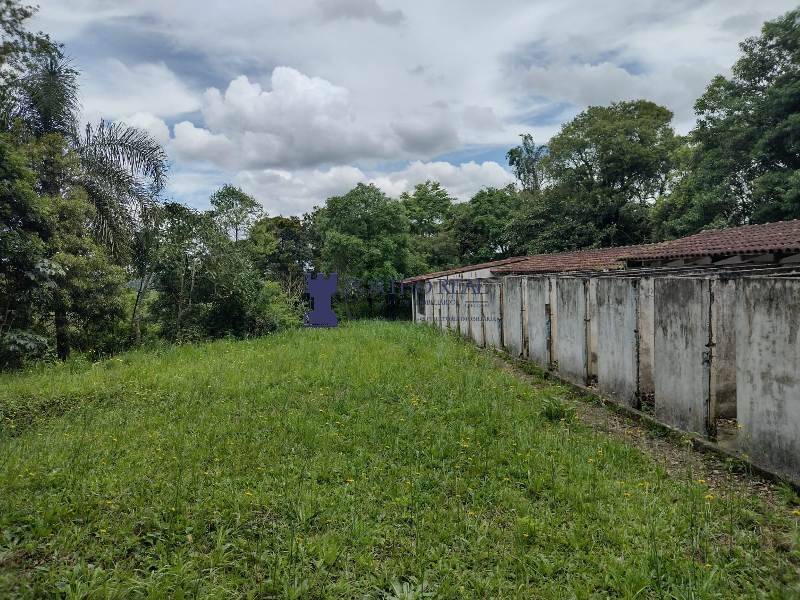 Chácara, 3 quartos - Foto 6