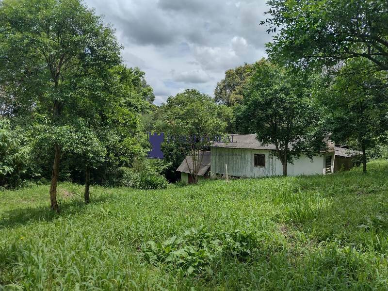 Chácara, 3 quartos - Foto 7